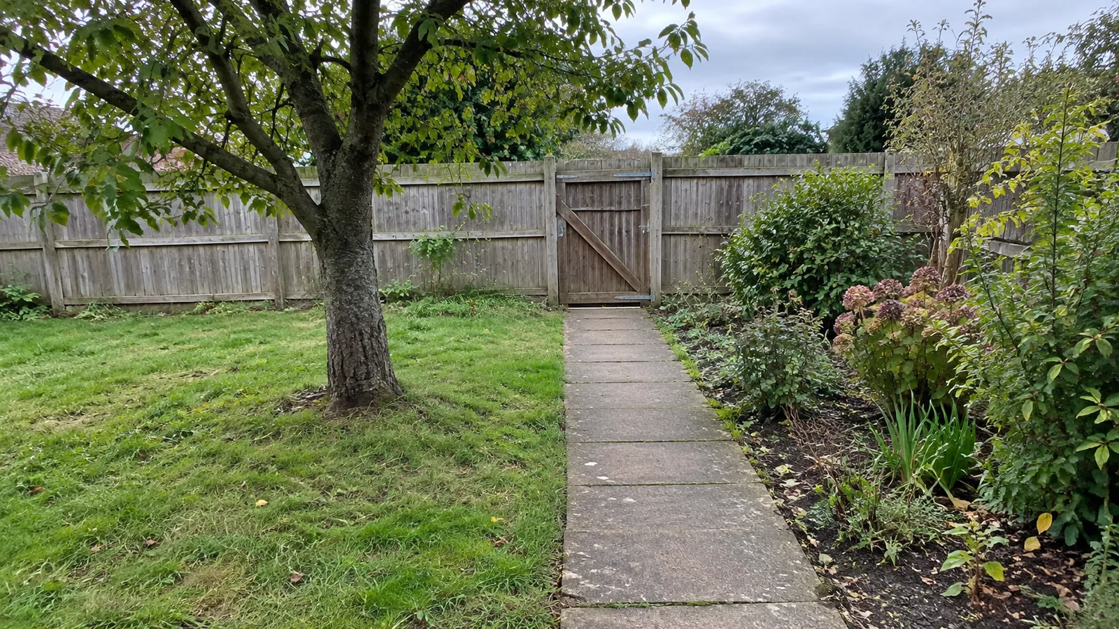 Yard with a paved path leading to a timber gate, an established tree and a planting bed